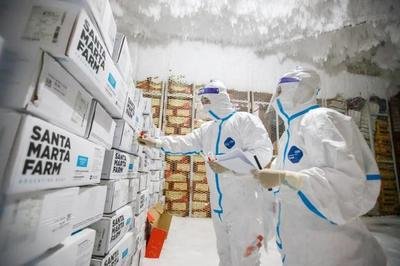 山东一市进口冷链食品包装检测阳性(图1)