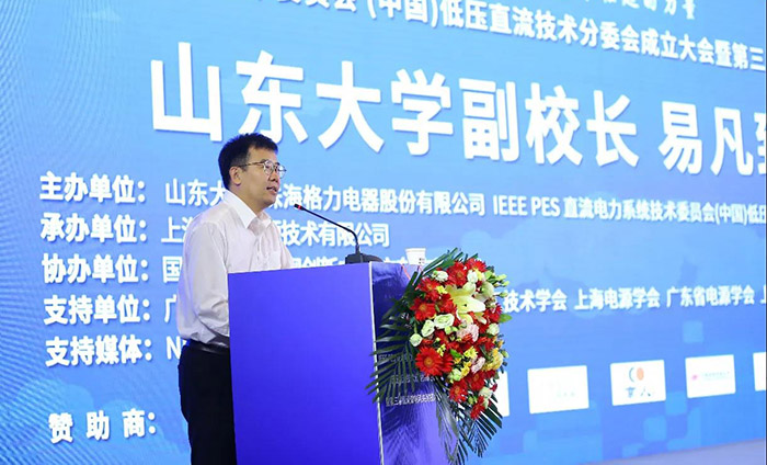 首个IEEE PES低压直流技术组织成立 董明珠任主席(图2)