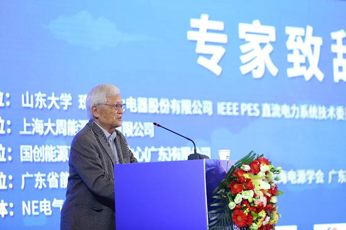 首个IEEE PES低压直流技术组织成立 董明珠任主席(图3)