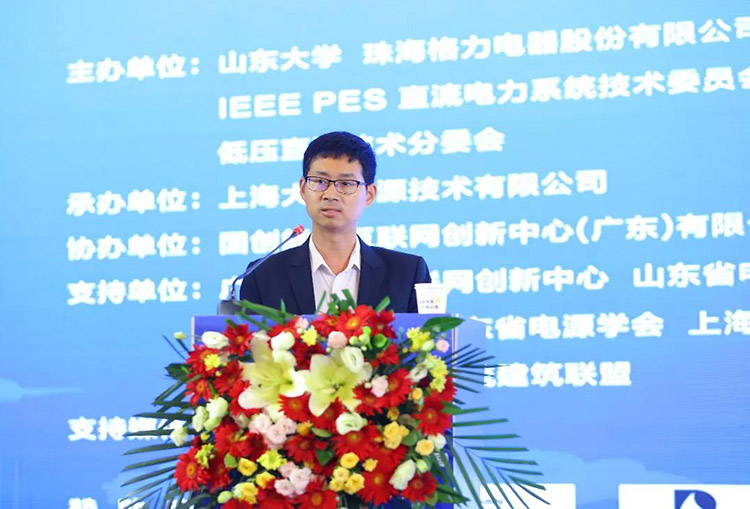 首个IEEE PES低压直流技术组织成立 董明珠任主席(图9)