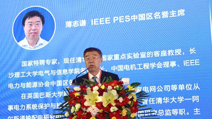 首个IEEE PES低压直流技术组织成立 董明珠任主席(图4)