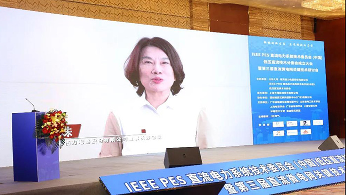 首个IEEE PES低压直流技术组织成立 董明珠任主席(图5)