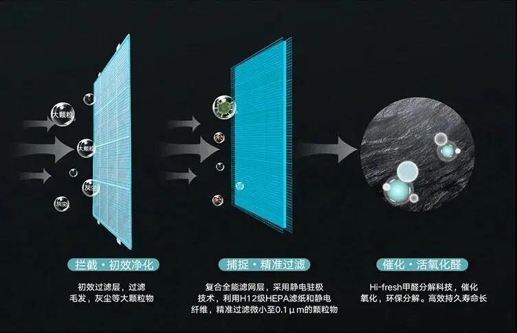 董明珠(图1)
