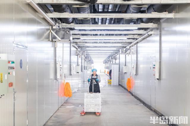 3亩地达到200亩产能，这里的蘑菇四季住“空调房”(图4)