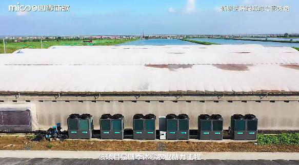 四季沐歌低碳清洁能源案例—连云港东方养鸡场清洁采暖项目(图1)