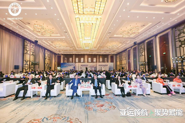 智慧低碳能源与体育发展高峰论坛在杭州召开(图8)